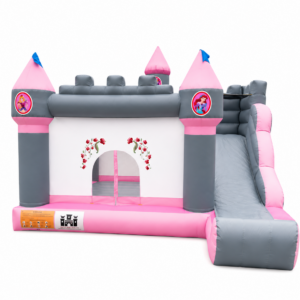 Château de princesse